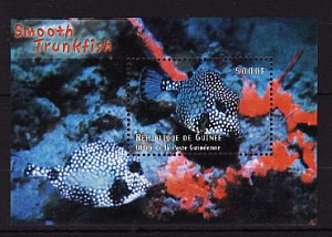 Гвинея, 2001, Морская фауна, Рыбы, блок